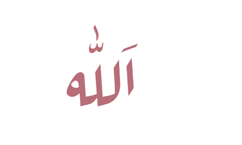 The name Allah in Diwani calligraphy in rose gold on white