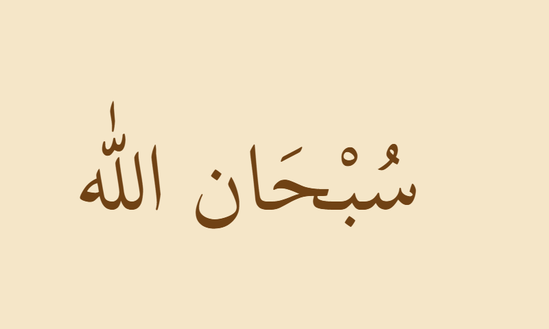 Subhanallah (glory to God) in Thuluth calligraphy in sepia on parchment
